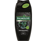 Palmolive Men Refreshing 3in1 shower gel for body, face and hair 250 ml
