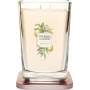 Yankee Candle Citrus Grove - Citrus Grove Soy Scented Candle Elevation Large Glass 2 Wicks 552 g