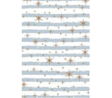 Ditipo Gift wrapping paper 70 x 500 cm White blue-gray stripes and gold stars