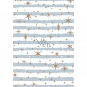 Ditipo Gift wrapping paper 70 x 500 cm White blue-gray stripes and gold stars