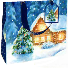 Nekupto Gift paper bag luxury 18 x 16 cm Christmas snow house