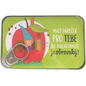 Albi Tin Money Pocket A small gift for you, but the treasure inside is huge! 11 x 7 cm