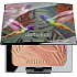 Artdeco Blush Couture blush 33105 10 g