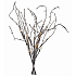 Emos Branch lighting 60 cm, 24 LEDs, warm white + 0.3 m power cord + timer