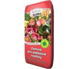 Peat Soběslav Soil for houseplants 10 l