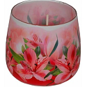 Essences of Life Amaryllis aromatic candle in glass 100 g