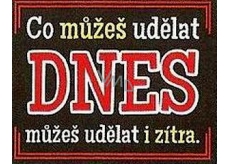 Nekupto Gifts with Humor Fridge Magnet What you can do today 9 x 6.5 cm