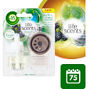 Air Wick Life Scents Forest Waters - Forest stream electric air freshener set 19 ml