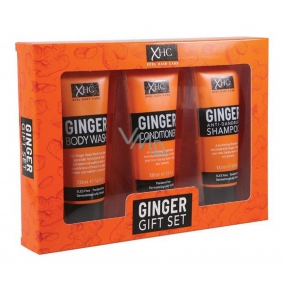 Xpel Ginger anti-dandruff hair shampoo 100 ml + hair conditioner 100 ml + shower gel 100 ml, cosmetic set