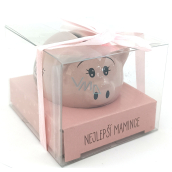 Albi Piglet for Joy Treasure box Best Mommy 6 x 7,5 cm