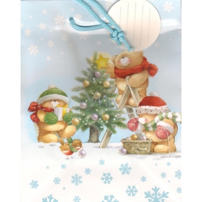 Albi Gift paper bag 23 x 18 x 10 cm Christmas TM4 85246