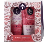 T: BY Tetesept Hallo Schönheit Pomegranate and magnolia shower gel 200 ml + body lotion 200 ml for perfect skin cosmetic set