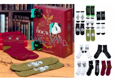 Epee Merch Harry Potter Advent Calendar 12 days sock