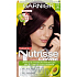 Garnier Nutrísse Créme Hair Color 36 Wild Blackberries