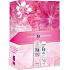 Fa Romantic Moments shower gel 250 ml + Dry Protect antiperspirant deodorant spray 150 ml, cosmetic set