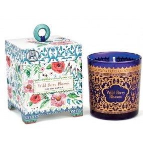 Michel Design Works Wild berries Soybean handmade scented candle in glass 184 g