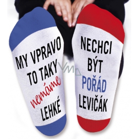 Nekupto Family gifts with humor Socks We right, size 39-42