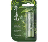 Regina Cannabis lip balm - deer tallow 4,5 g