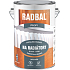 Radbal Profi S2120 special radiator paint, 1000 white, 4 l