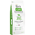 Brit Care Grain-free Salmon + potato mobile food for adult dogs of large breeds 12 kg