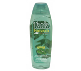 Tania Naturals Nettle Hair Shampoo 500 ml