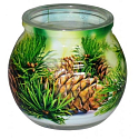 Admit Pine decorative aromatic candle in glass 80 g