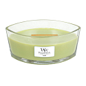 WoodWick Fern - Fern scented candle with wooden wide wick and glass ship lid 453 g