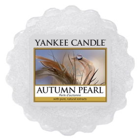 Yankee Candle Autumn Pearl - Autumn pearl fragrant wax for aroma lamp 22 g