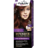 Schwarzkopf Palette Intensive Color Creme Hair Color 6-79 Purple Copper