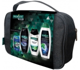 Palmolive Men Sensitive 250 ml men's shower gel + Invigorating Shampoo 350 ml + Refreshing 3in1 250 ml shower gel + Mennen Speed Stick Power of Nature 60 ml + deodorant stick