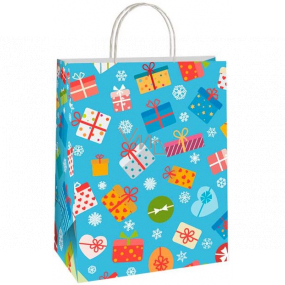 Ditipo Gift paper bag EKO 22 x 10 x 29 cm blue colored gifts