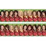 Londa Color Naturals permanent hair color 14/6 autumn maple