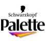 Schwarzkopf Palette Mousse Color Shake and color hair color 499 Violet