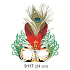 Golden ball mask with red feathers 30 cm suitable for adults
