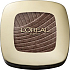 Loreal Paris Color Riche L Ombre Pure Eyeshadow 502 Quartz Fumé 1.7 g