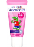 Vademecum Junior Mild Strawberry toothpaste 50 ml