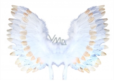 Angel wings with feathers white-gold 67 x 46 cm