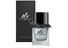 Burberry Mr. Burberry toaletní voda pro muže 50 ml