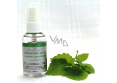 Amoené Antibacterial cleaner for natural and synthetic brushes 55 ml