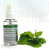 Amoené Antibacterial Cleaner for Natural and Synthetic Brushes 55 ml