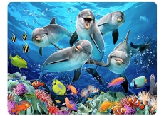 3D Postcard- Dolphins 16 x 12 cm
