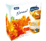 Big Soft Normal paper napkins 1-ply 33 x 33 cm 100 pieces