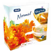 Big Soft Normal paper napkins 1 ply 33 x 33 cm 100 pieces