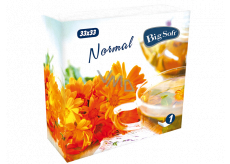 Big Soft Normal paper napkins 1 ply 33 x 33 cm 100 pieces