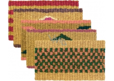 Spokar Mat Dutch Coconut Fiber. Various color motives 56 x 32 cm 1 piece