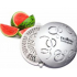 Fre Pro Easy Fresh 2.0 - replaceable fragrant cover Watermelon - white