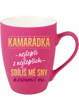 Albi Velvet mug Best friend pink 300 ml