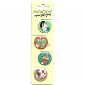 Albi Magnetic mini-folders Funny cats, diameter 3 cm 4 pieces