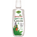 Bione Cosmetics Dentamint Cannabis Mouthwash 500 ml