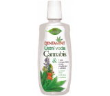 Bione Cosmetics Dentamint Cannabis mouthwash 500 ml